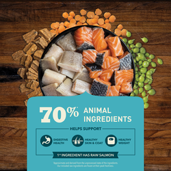 Dog ate raw on sale salmon